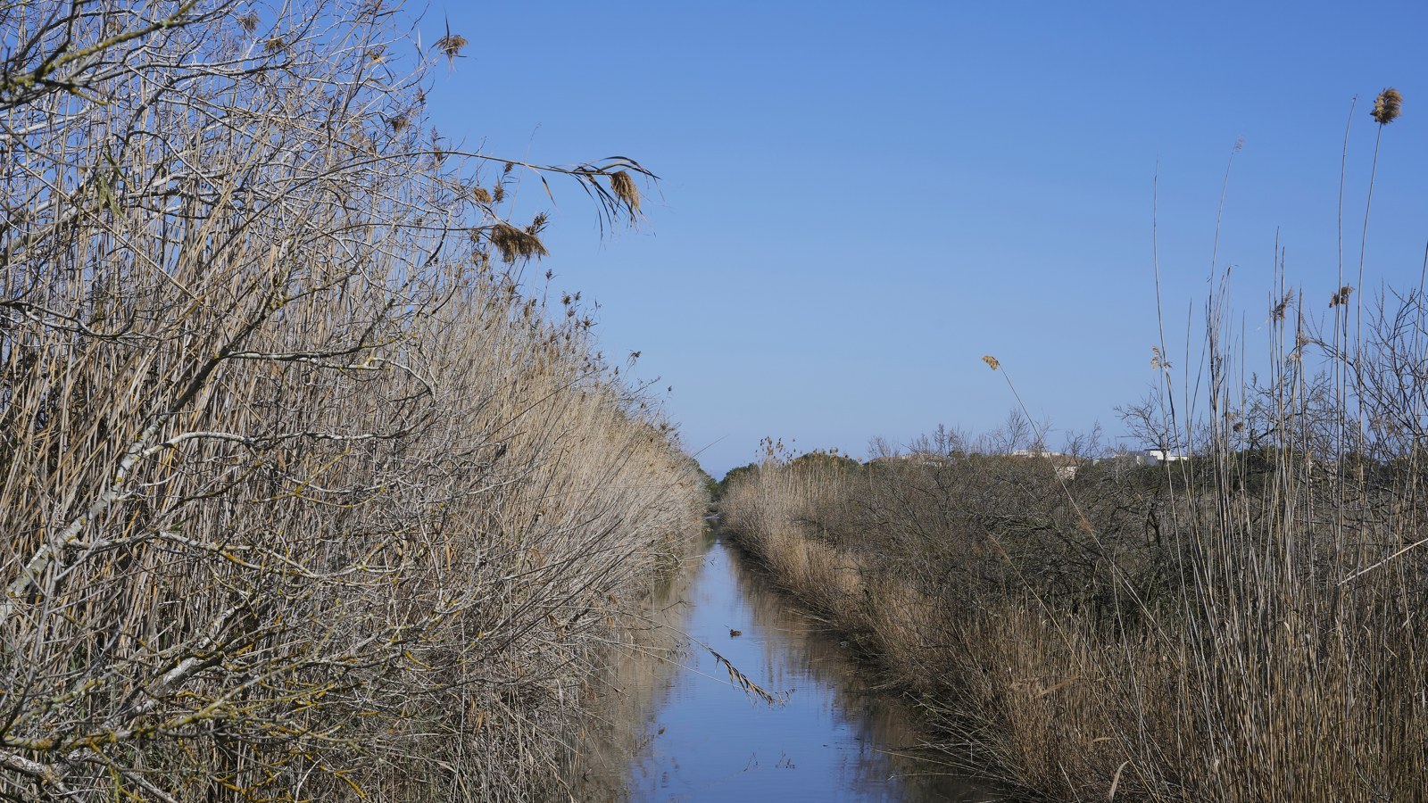 Parc Natural de sAlbufera de Mallorca – Foto
