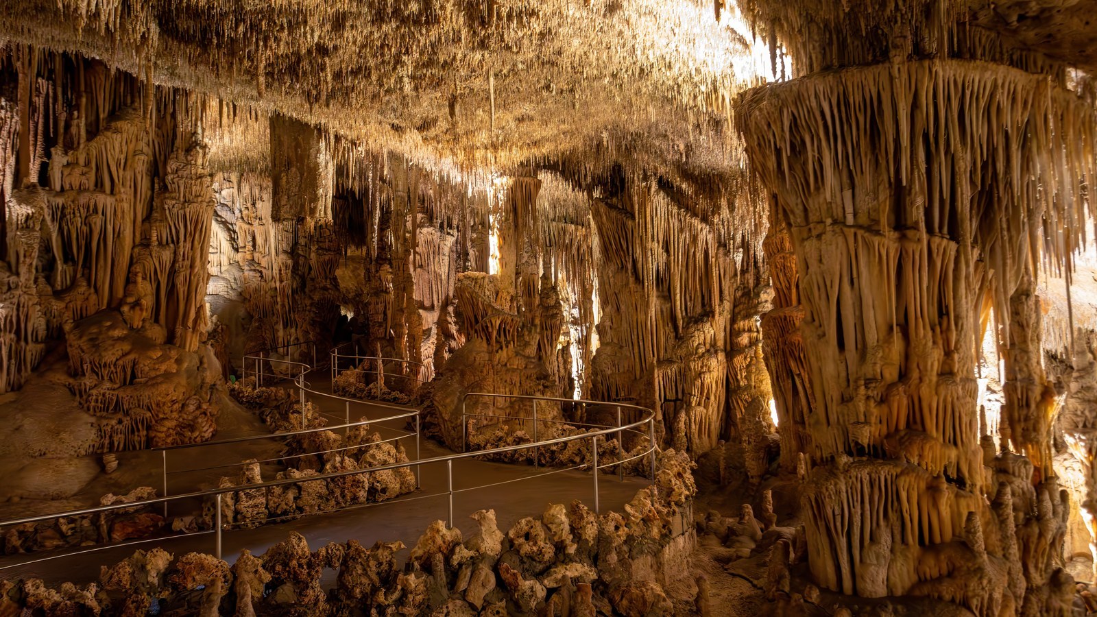 Coves del Drach – Foto