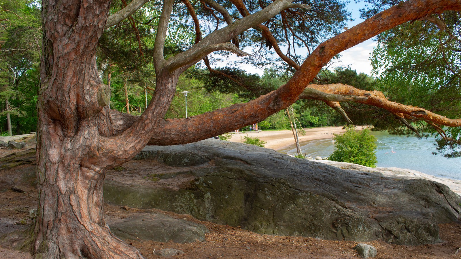 Insel Ruissalo – Foto