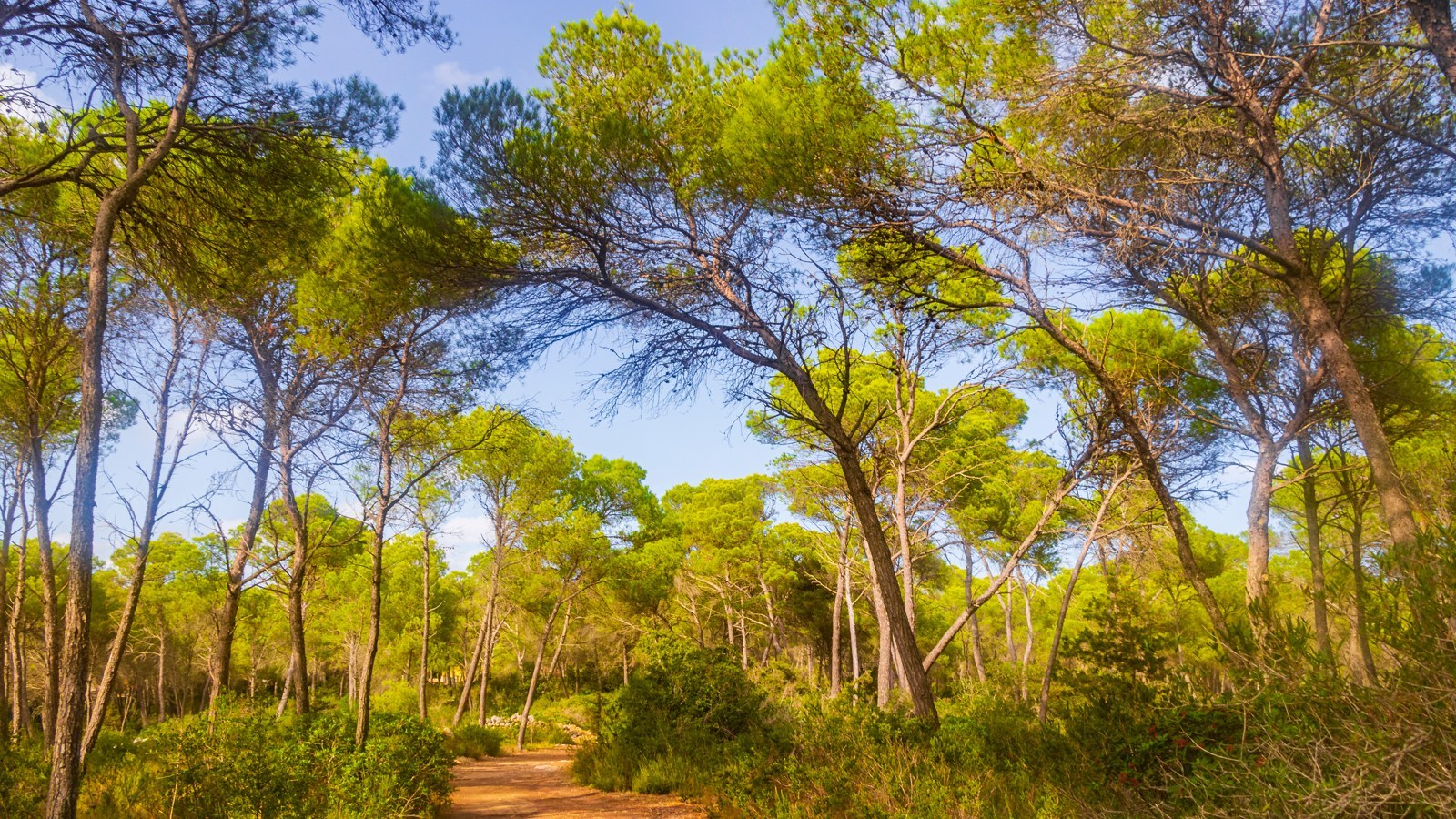 Parc Natural de Mondragó – Foto