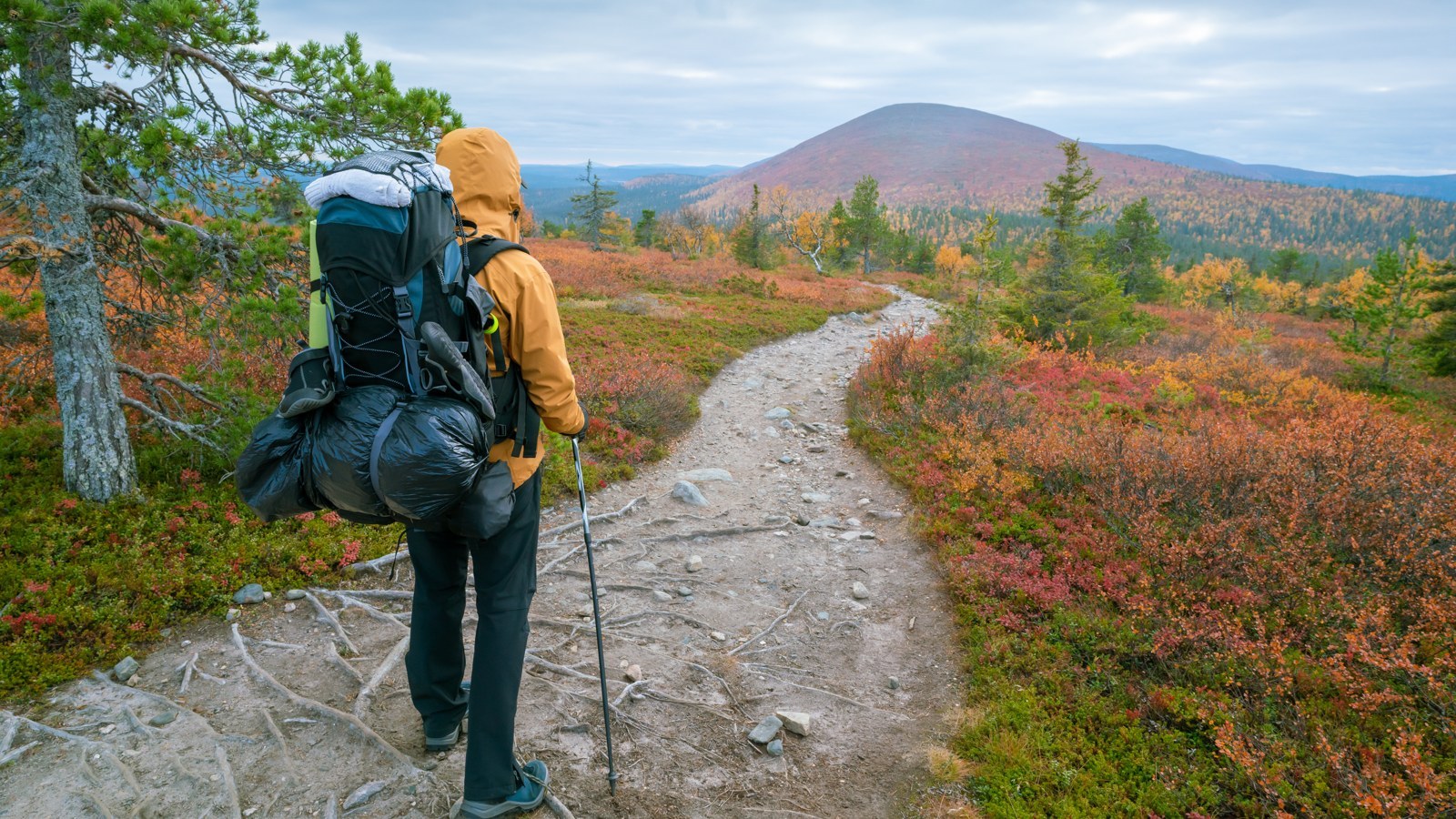 Pallas-Yllästunturi-Nationalpark – Foto