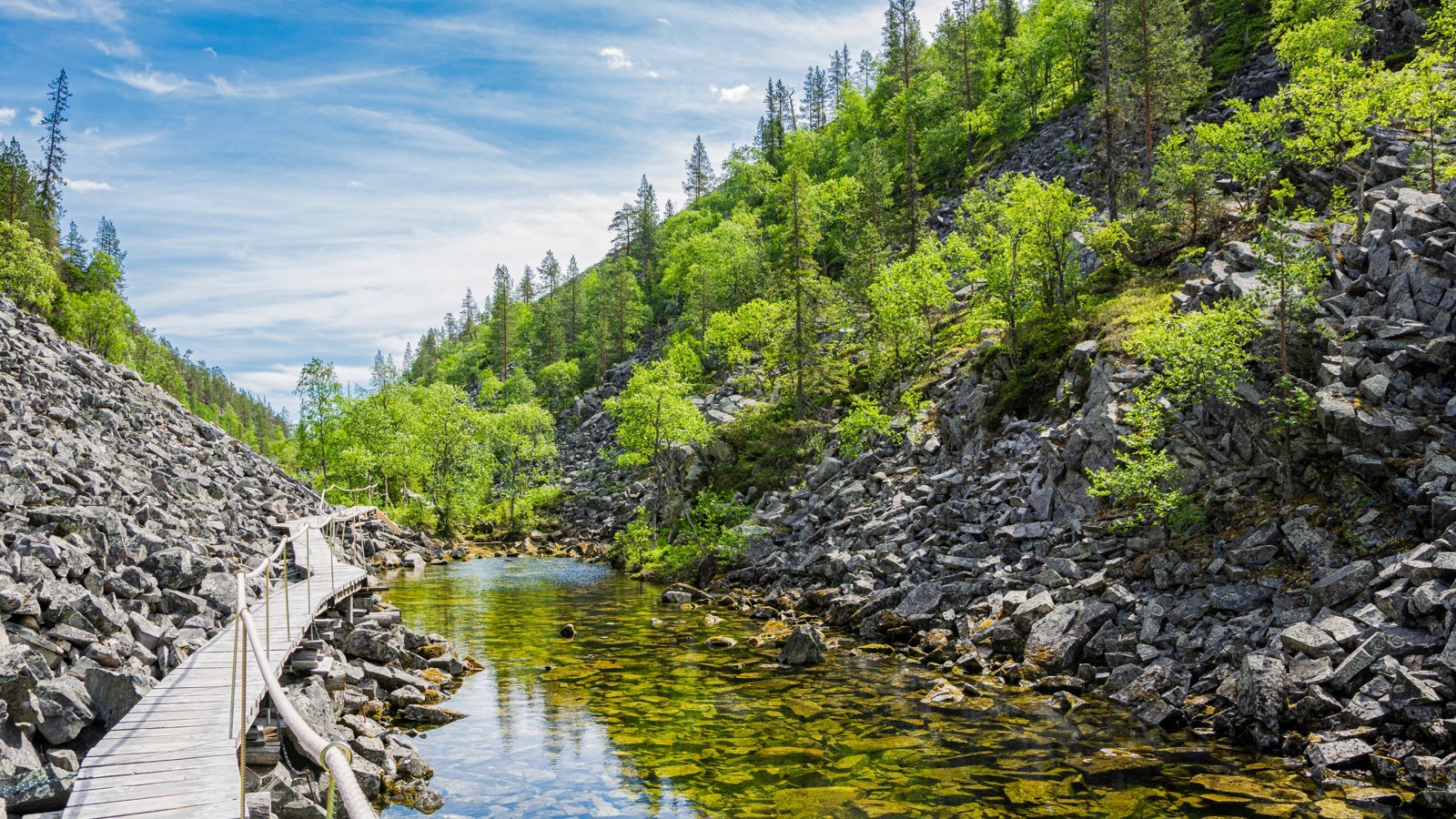 Pyhä-Luosto-Nationalpark – Foto