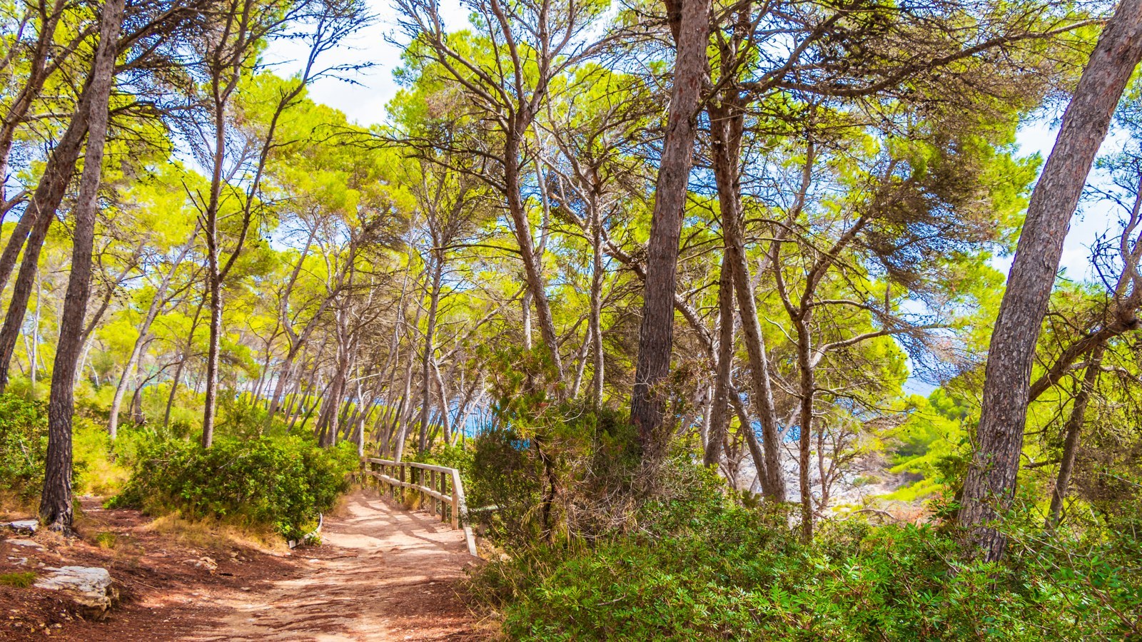 Parc Natural de Mondragó – Foto