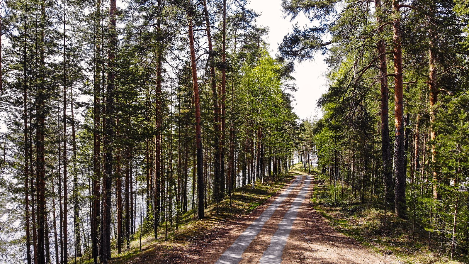 Punkaharju-Landrücken – Foto