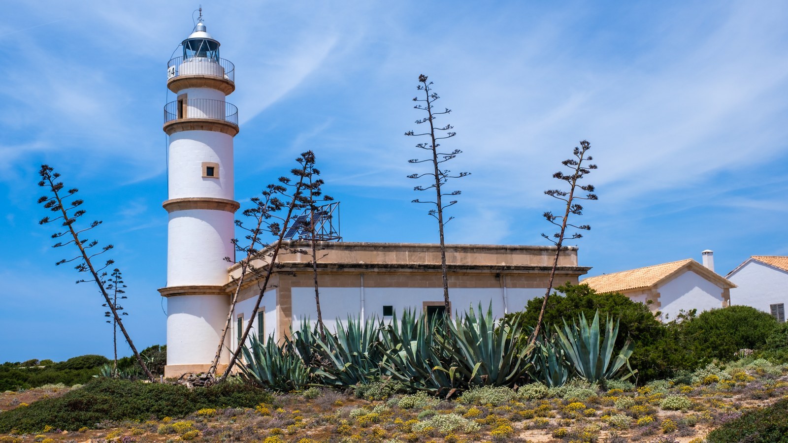 Cap de ses Salines – Foto
