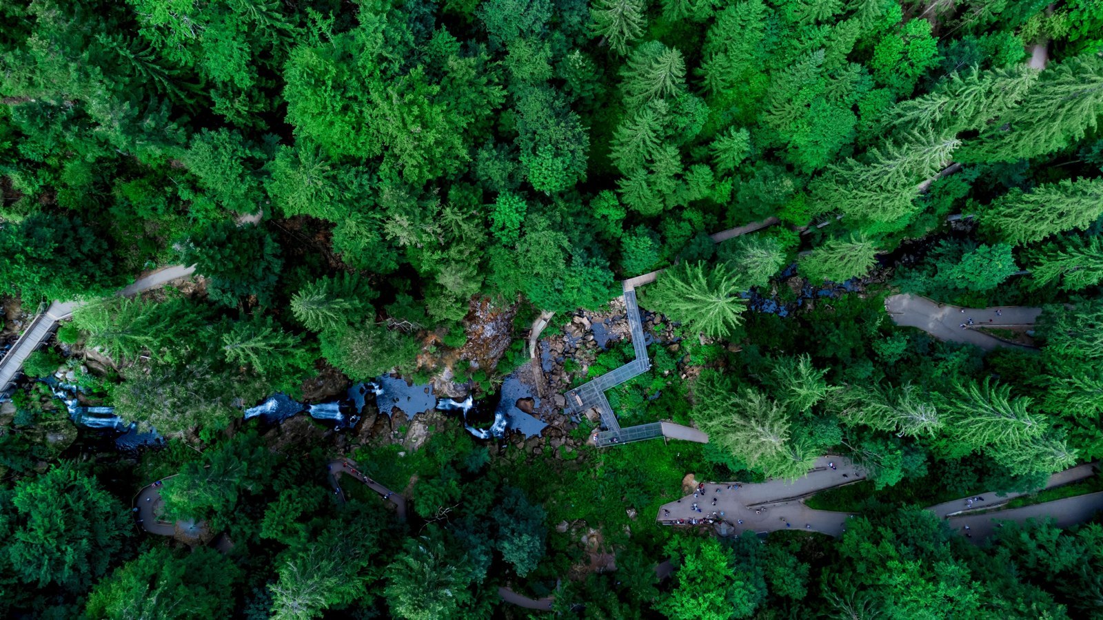 Triberger Wasserfälle und Schwarzwald – Foto