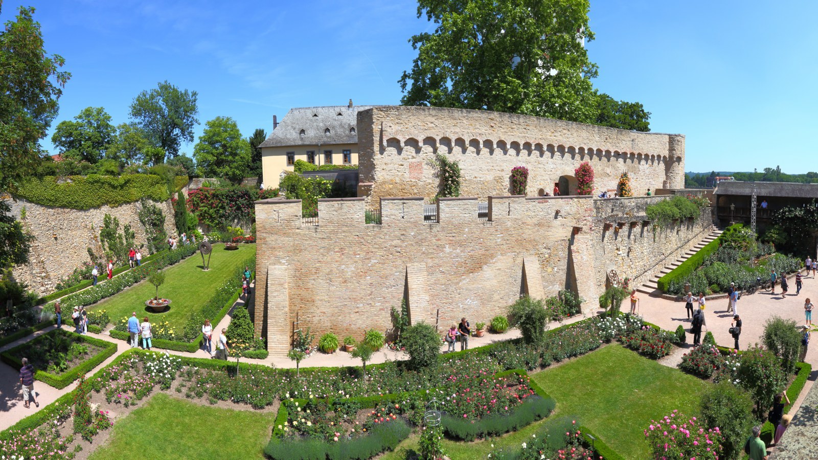 Eltville am Rhein – Foto