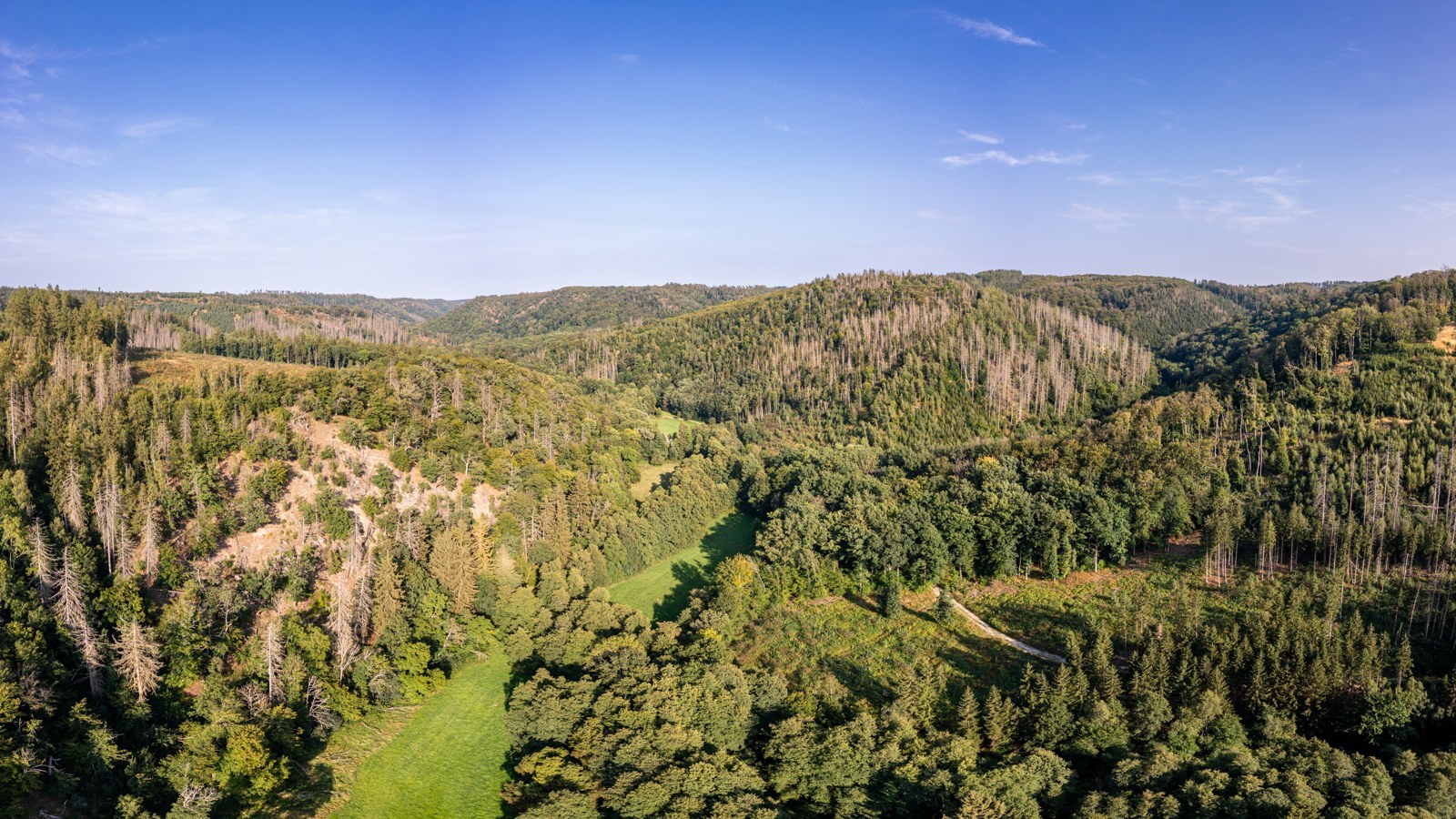 Selketal bei Alexisbad und Mägdesprung – Foto