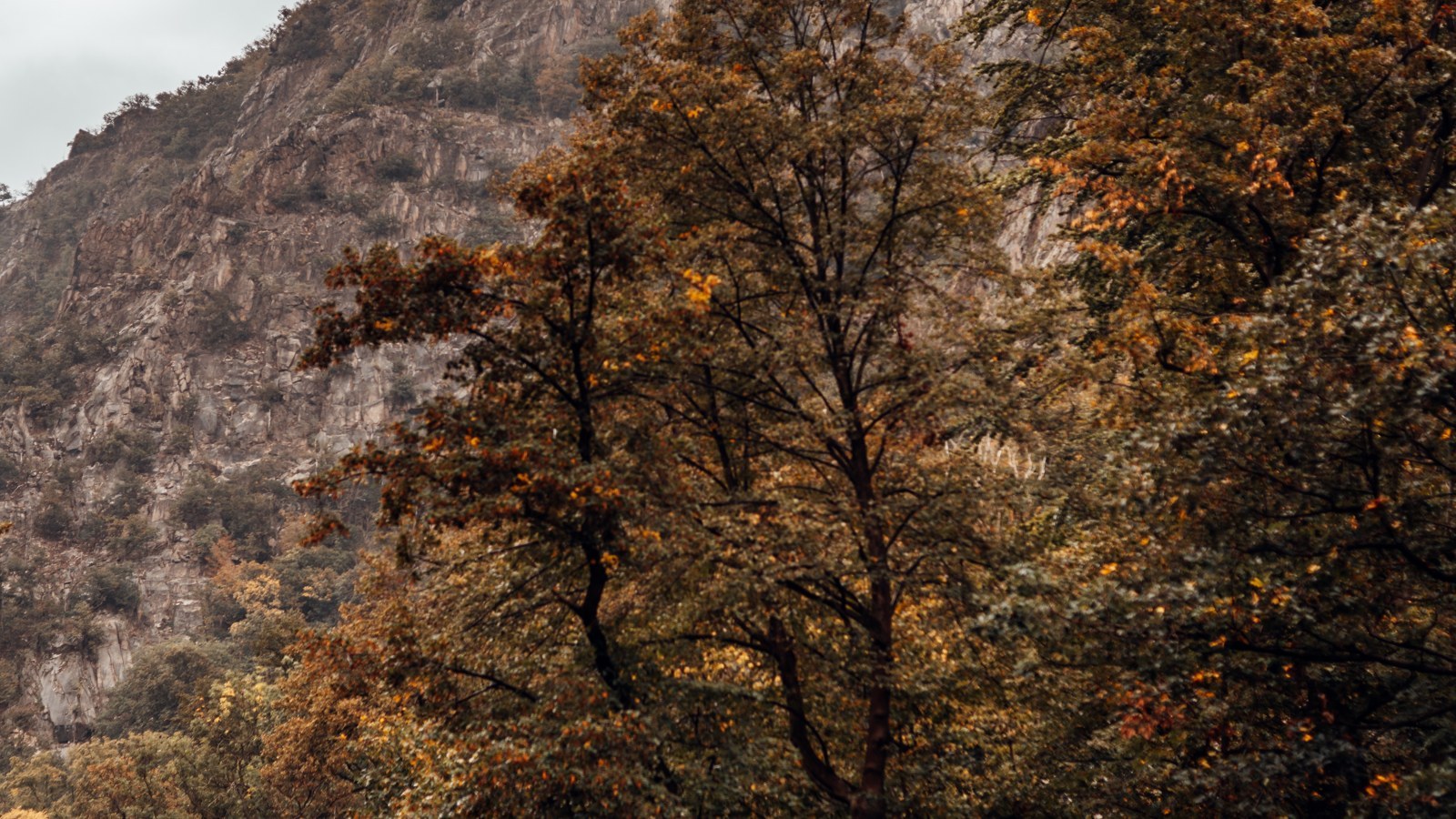 Thale und Bodetal – Foto