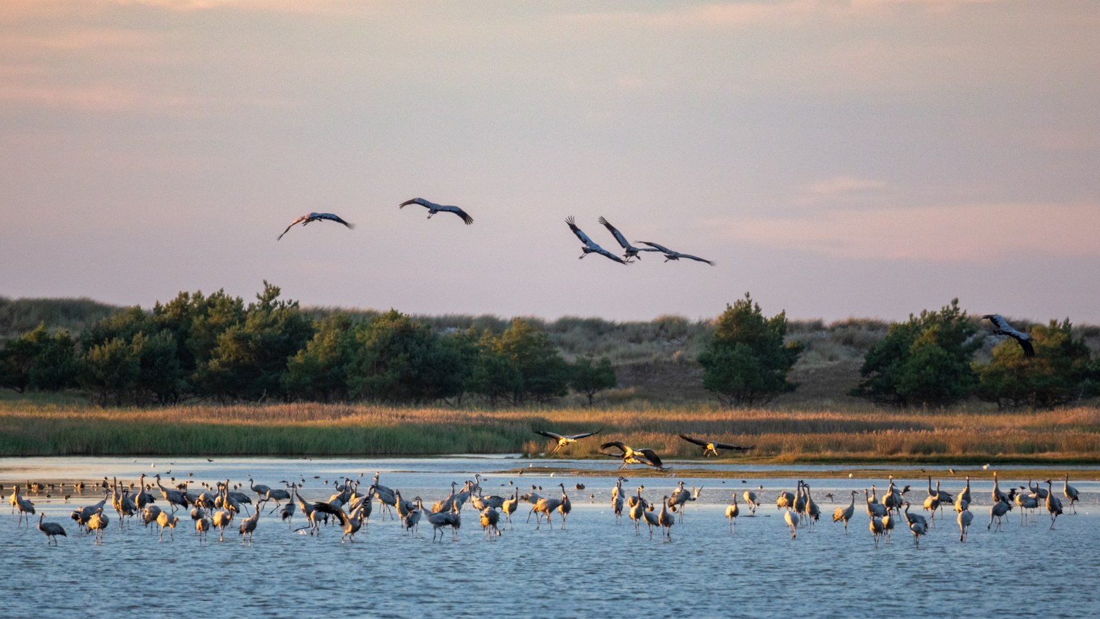 Fischland-Darß-Zingst – Foto