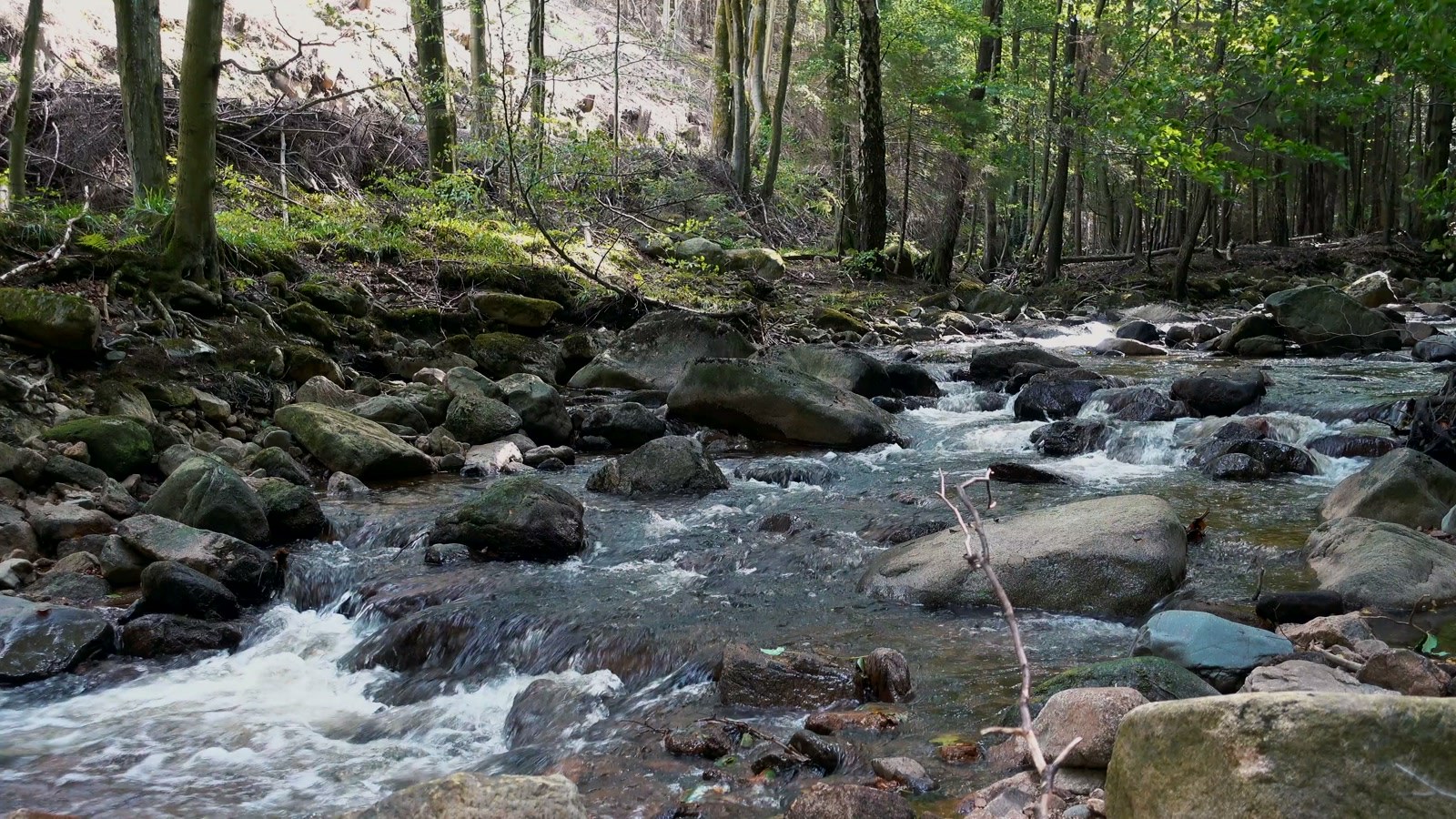 Ilsenburg Ilsetal und Drübeck – Ansicht aus dem Video